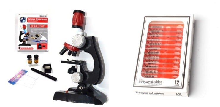 Microscope d'éducation et de sciences biologiques pour enfants