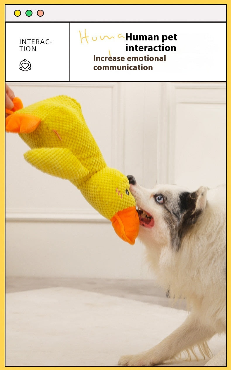 Canard apaisant
