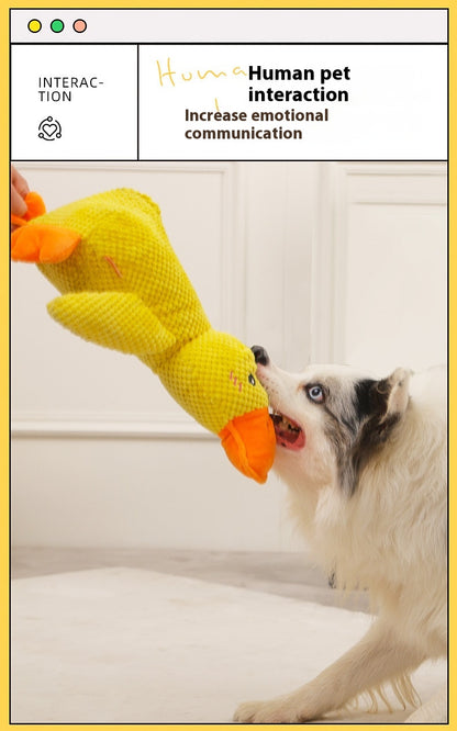 Canard apaisant