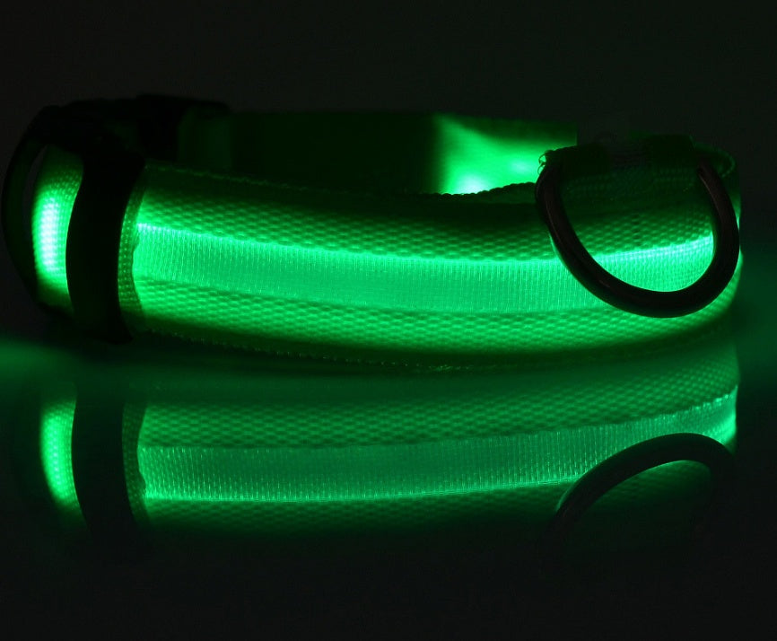 AdTec nylon LED pet collar glowing green, adjustable safety collar with D-ring