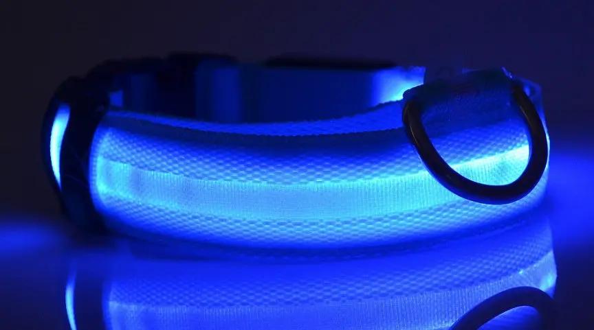 Nylon LED pet collar by AdTec, blue glow, adjustable for nighttime safety.