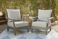 Visola - Lounge Chair w/Cushion (Set of 2) - Gray-0