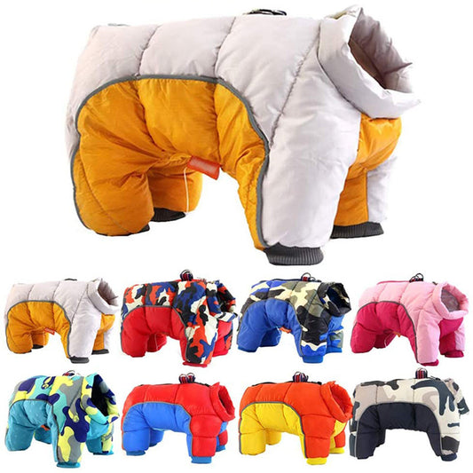 Vêtements d'hiver pour chiens de compagnie, veste épaisse et chaude en duvet, manteau en coton Teddy