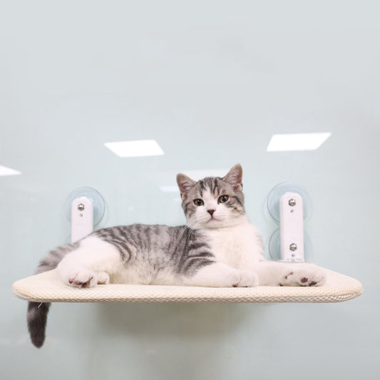 Hamaca Cuatro Estaciones Universal Cama para Gatos con Ventosa para Ventanas