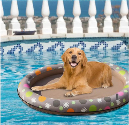 Dog swimming pool inflatable hammock float, gray ring with colorful dots and paw prints, golden retriever lounging.