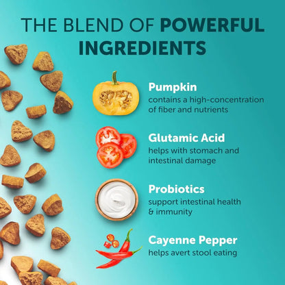 Pet Intestinal Probiotic Chewable Tablets by AdTec on teal background with pumpkin and peppers.