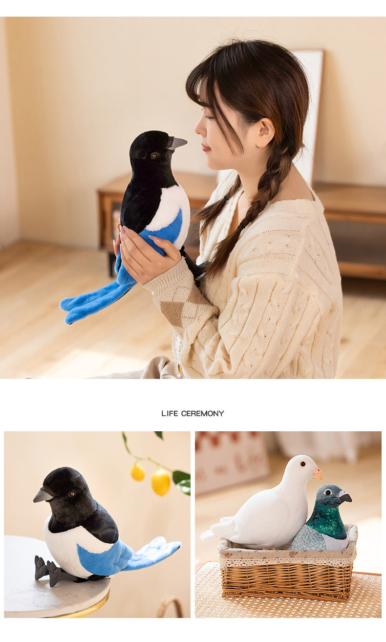 Peluche Oiseau Pigeon de Dessin Animé