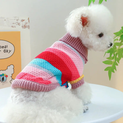 Dog sweater knitted with multicolor stripes in pink, red, and blue