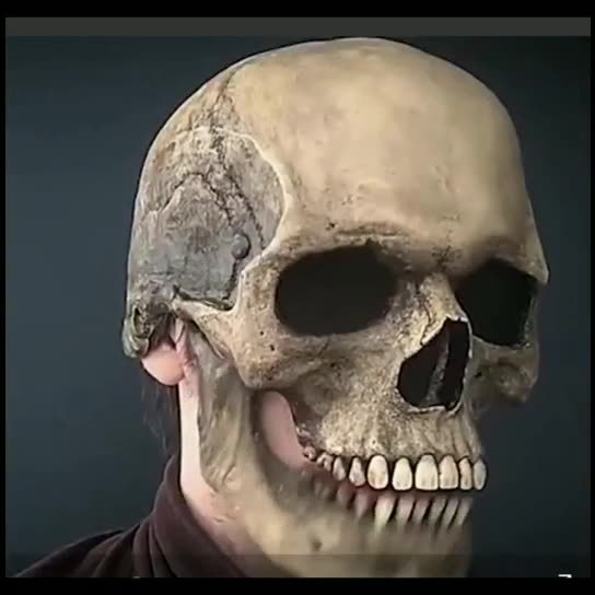 Máscara de calavera completa con mandíbula móvil, máscara de calavera de esqueleto 3D, máscara de horror para adultos, disfraz de cosplay