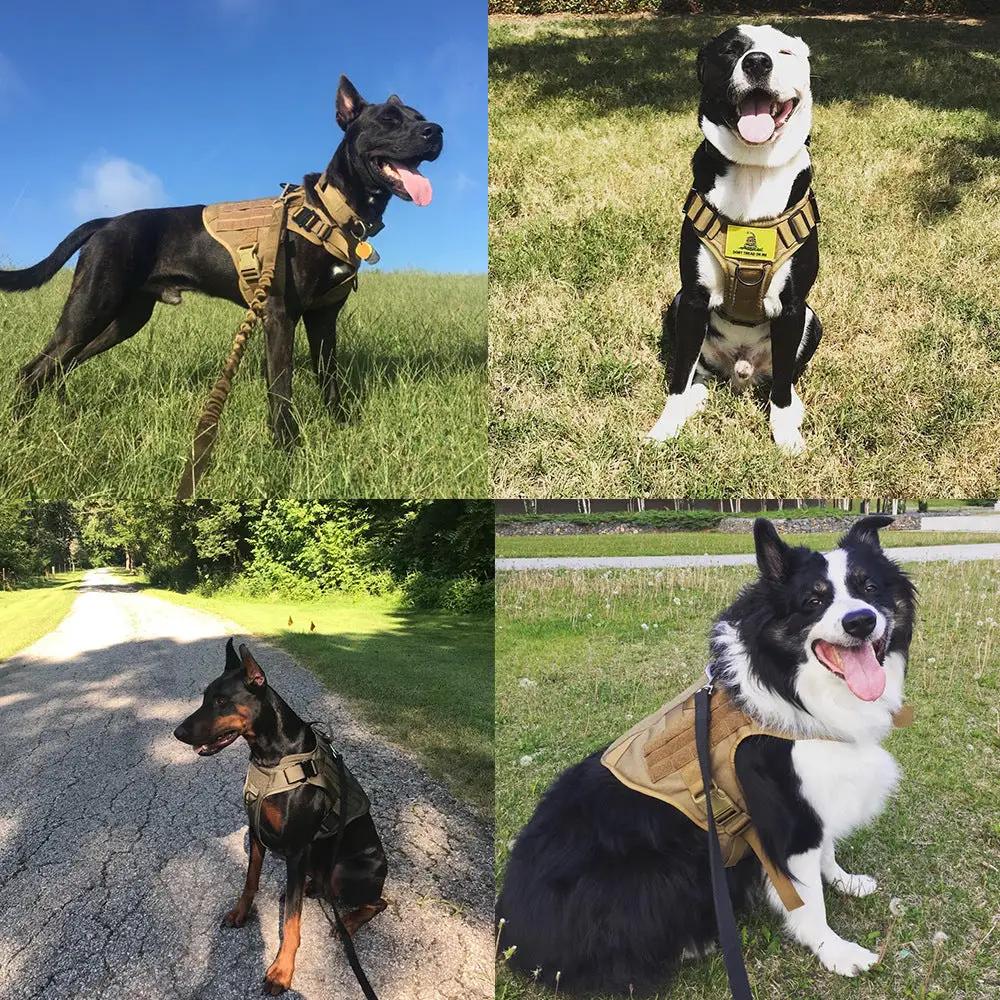 Military Tactical Dog Harness by AdTec in tan; adjustable, rugged nylon straps, shown on four dogs.