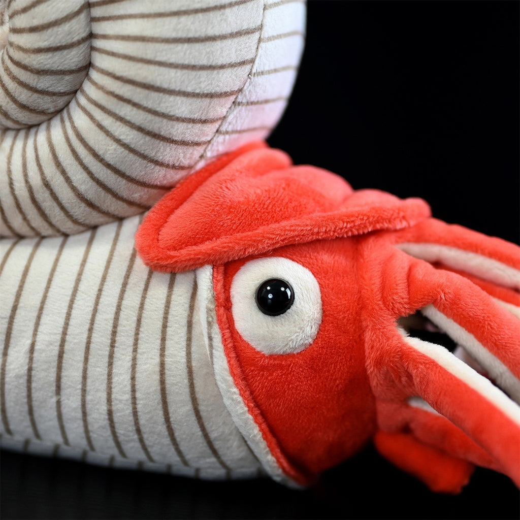 Série Paléontologie Jouets en Peluche Ammonite