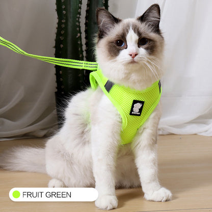 Arnés de tracción para gatos antichoque