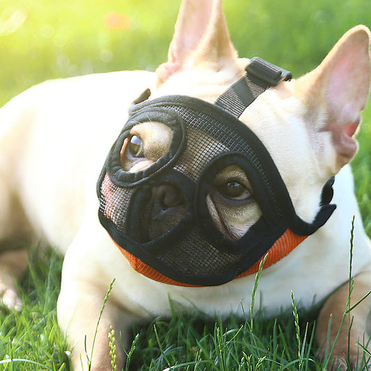Muselière pour petit chien Hoopet, muselière respirante en forme de panier pour bouledogue français, harnais et fournitures pour chiens