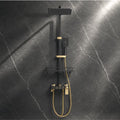 Fossa Aspire Shower Black Gold Wall Mounted 4-Function Brass-0
