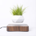 Levitating Air Bonsai Pot-0