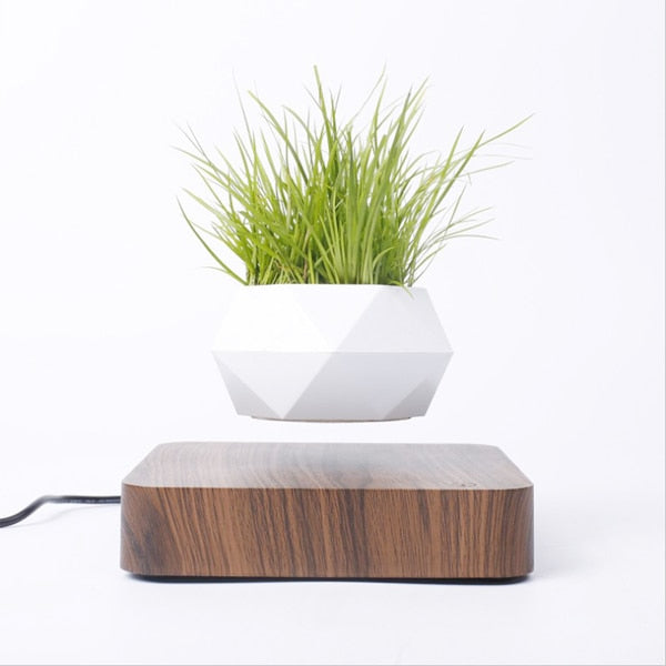 Levitating Air Bonsai Pot-0