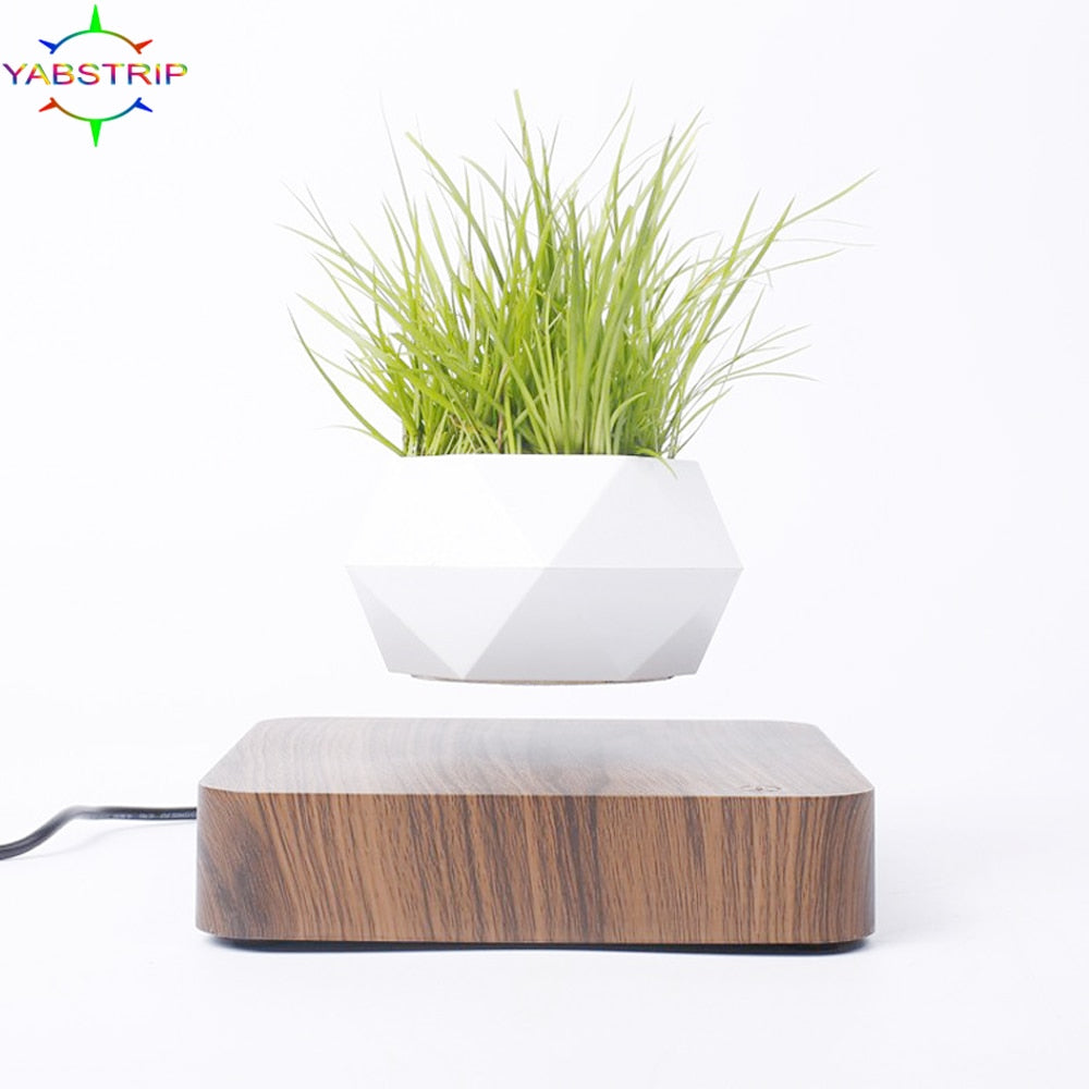 Levitating Air Bonsai Pot-1