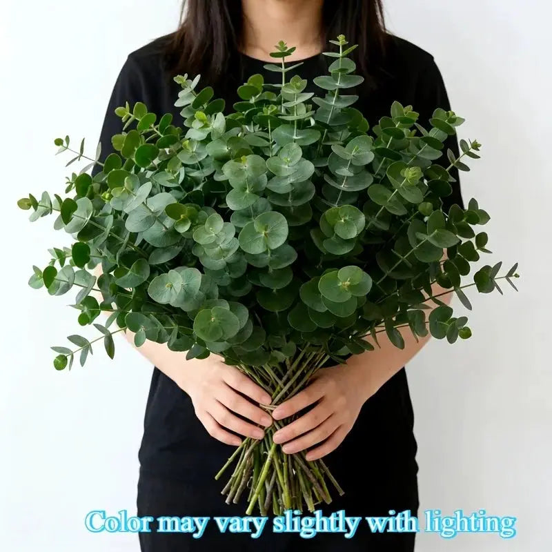 Artificial eucalyptus bouquet, 26pcs, PrimeCanada.Store, with round green leaves