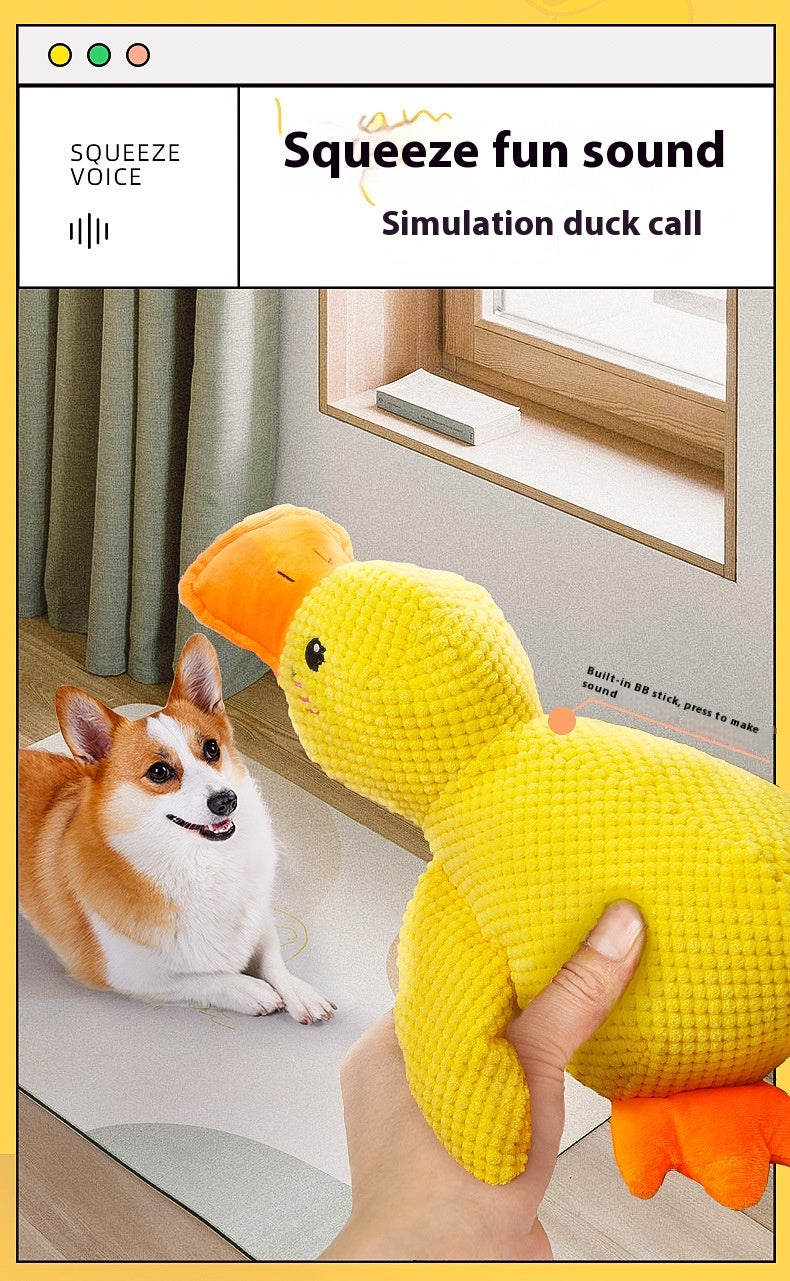 Canard apaisant