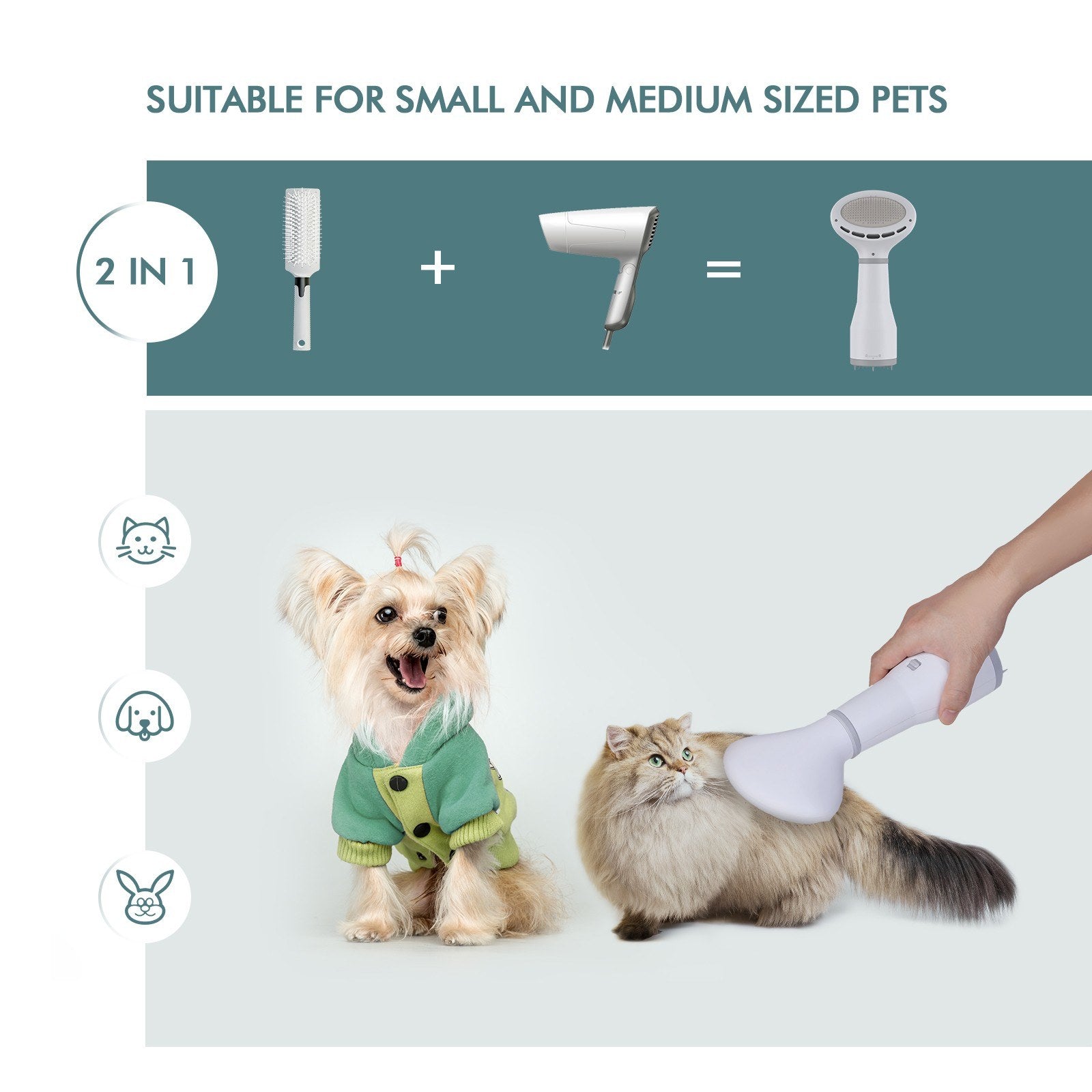 Séchoir de toilettage Dadypet pour chien avec brosse carde