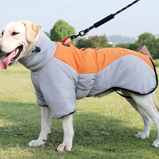 Dog coat waterproof quilted orange-gray winter jacket for medium to large dogs