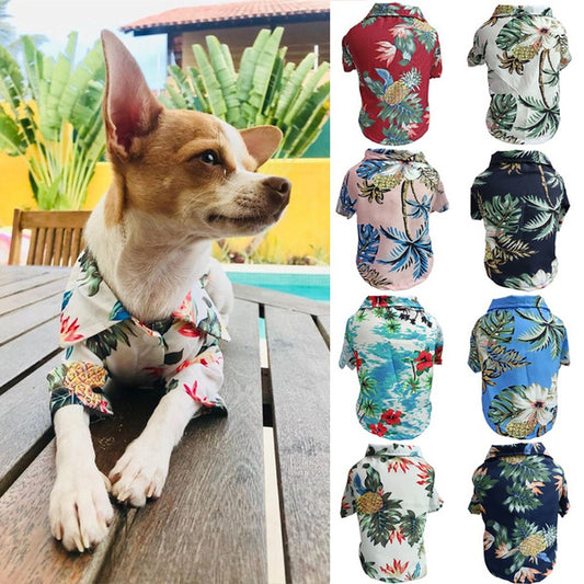 Chemise fine printemps-été pour chien Corgi, vêtements pour chat bleus
