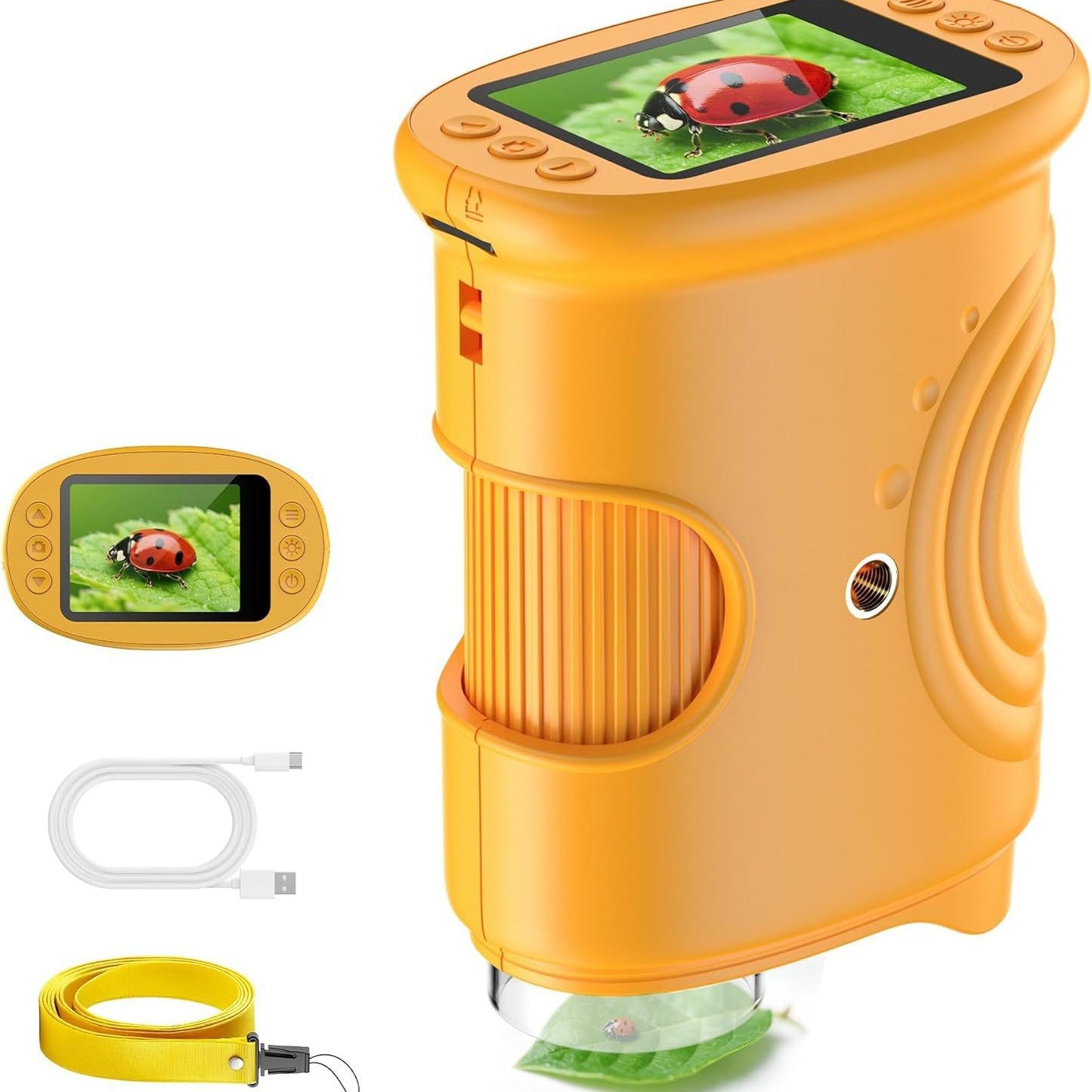 Microscope numérique portable pour enfants pour l'exploration en extérieur