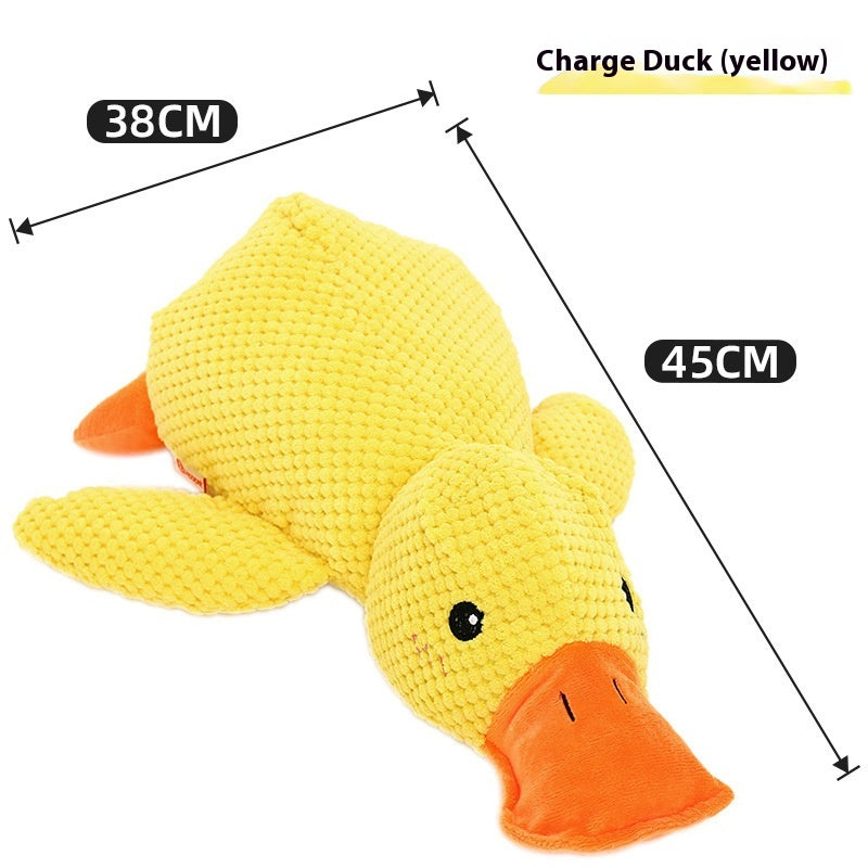 Canard apaisant