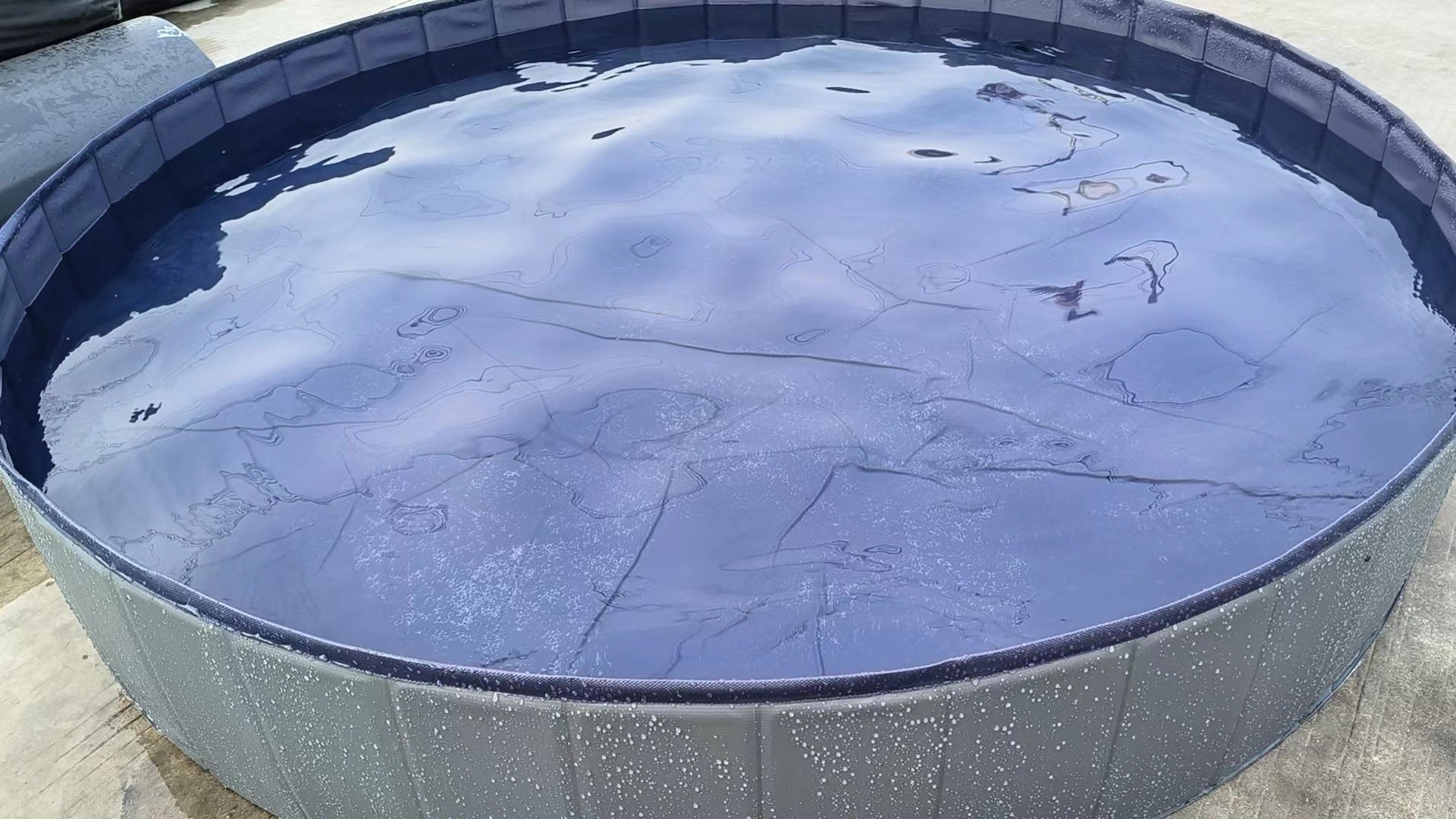 Piscina para mascotas, piscina plegable para perros, accesorios de baño grandes para perros