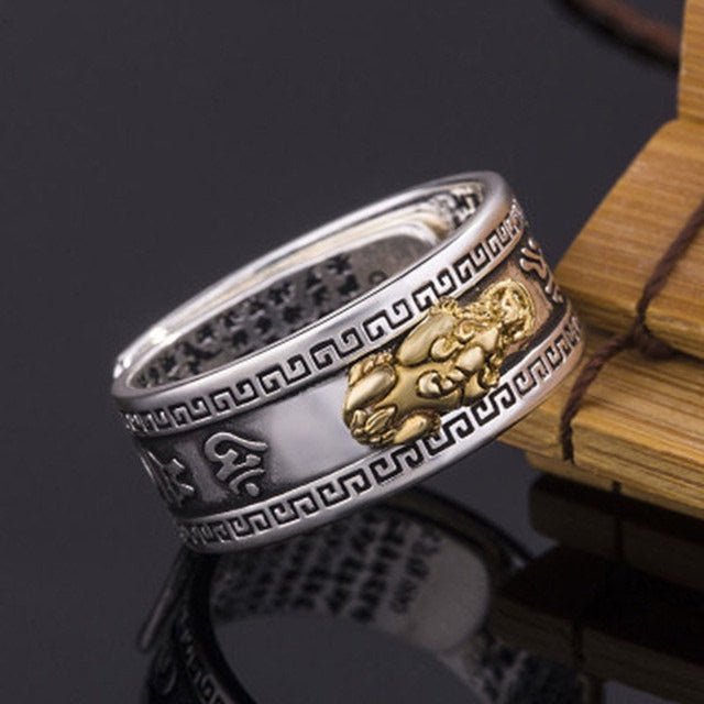 Bague-bracelet unisexe Pixiu Feng Shui chinois