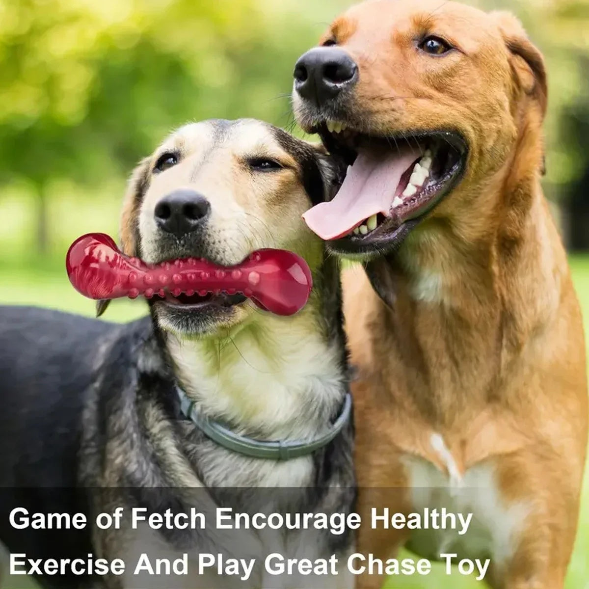 Juguete masticable de caucho natural apto para perros agresivos - Duradero y resistente, apto para perros que muerden objetos pesados