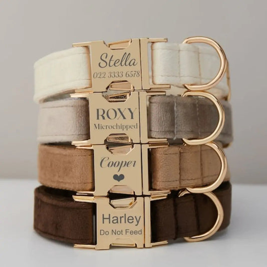 Set of 4 velvet dog collars in cream, gray, taupe and brown with gold buckles and personalized nameplates