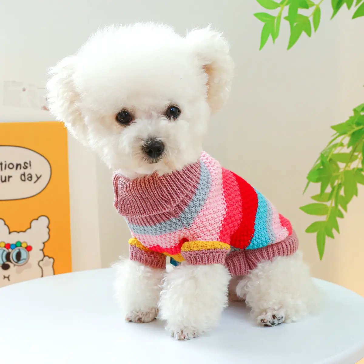 Dog sweater with colorful striped knit in pink, red, blue