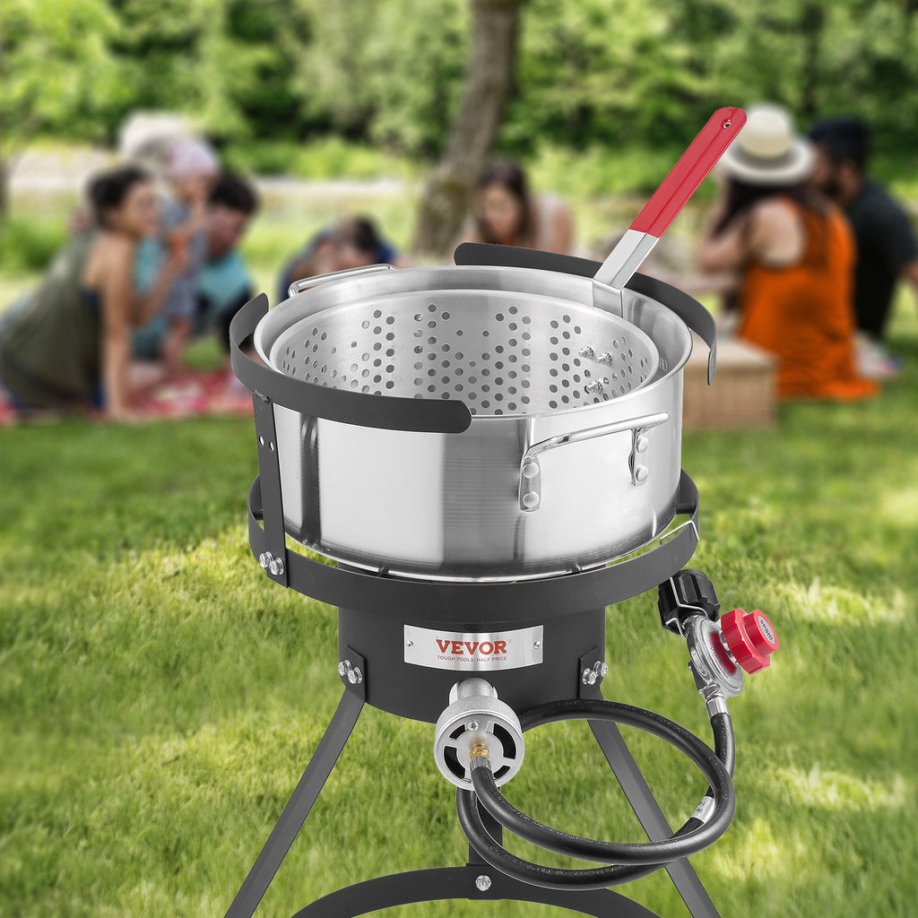 Friteuse à poisson et à ailes en aluminium de 9,5 litres, kit de friteuse extérieure au propane avec panier
