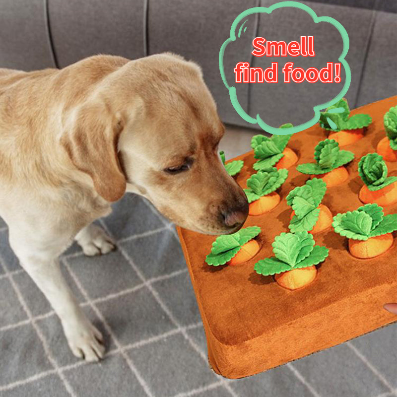 Jouets pour chiens et chats – Peluche de carotte – Tapis de fouille – Jouet à mâcher durable pour chiots et chats – Accessoires pour chiens